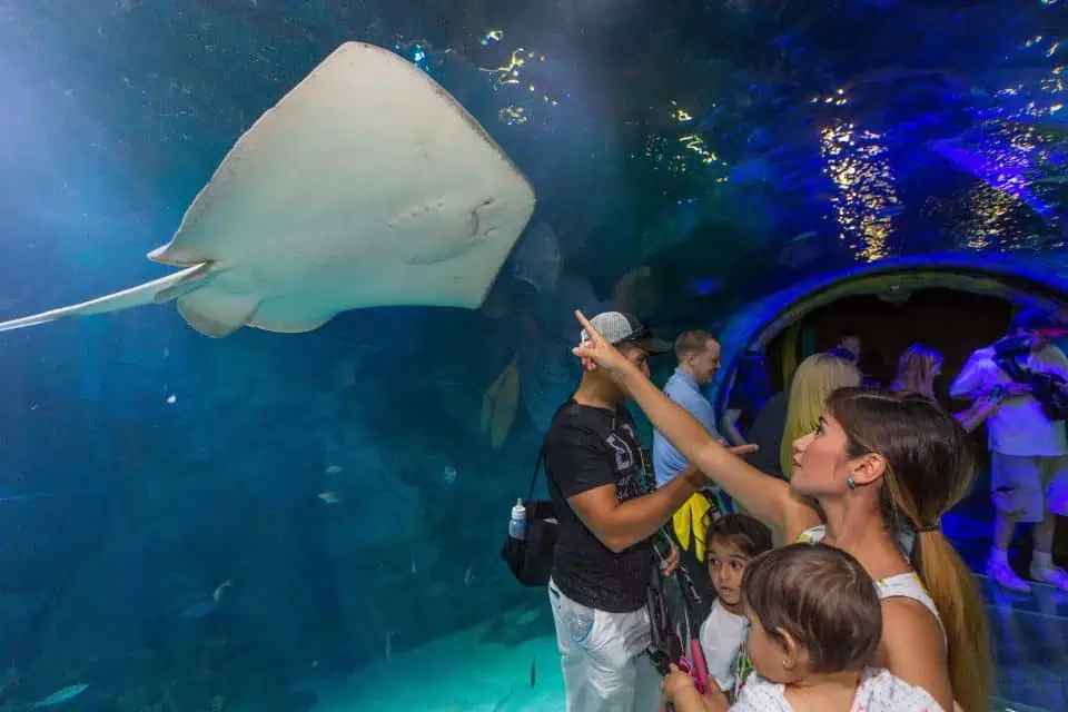 SEA LIFE Istanbul